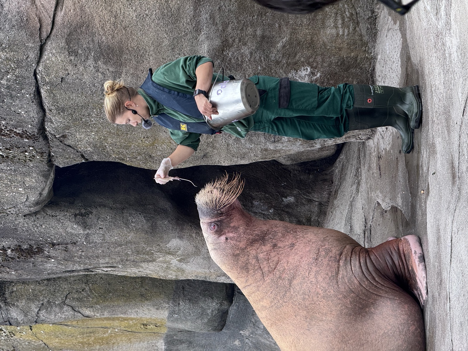 Tierpark Hagenbeck