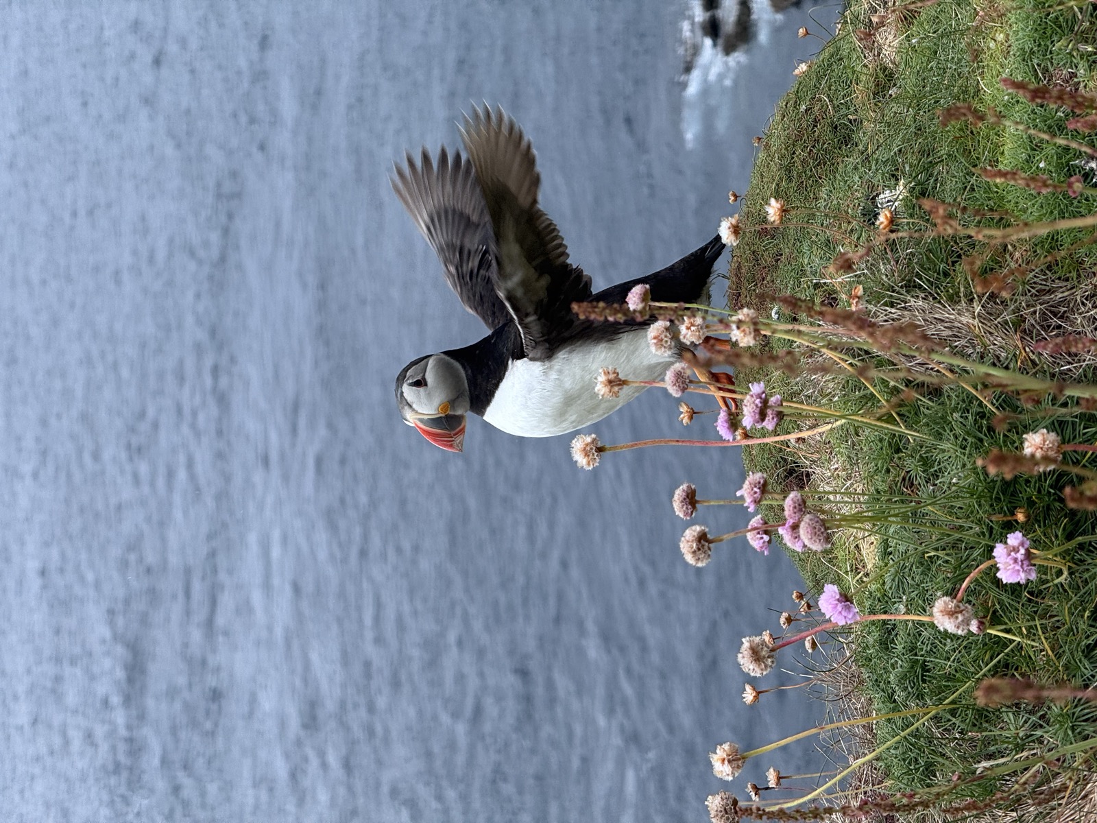Shetland Islands